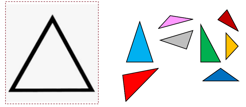 Parts of triangle
